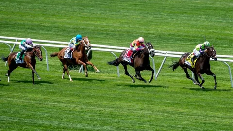 From Track to Wallet: Maximizing Your Wins When Betting on Horse Racing